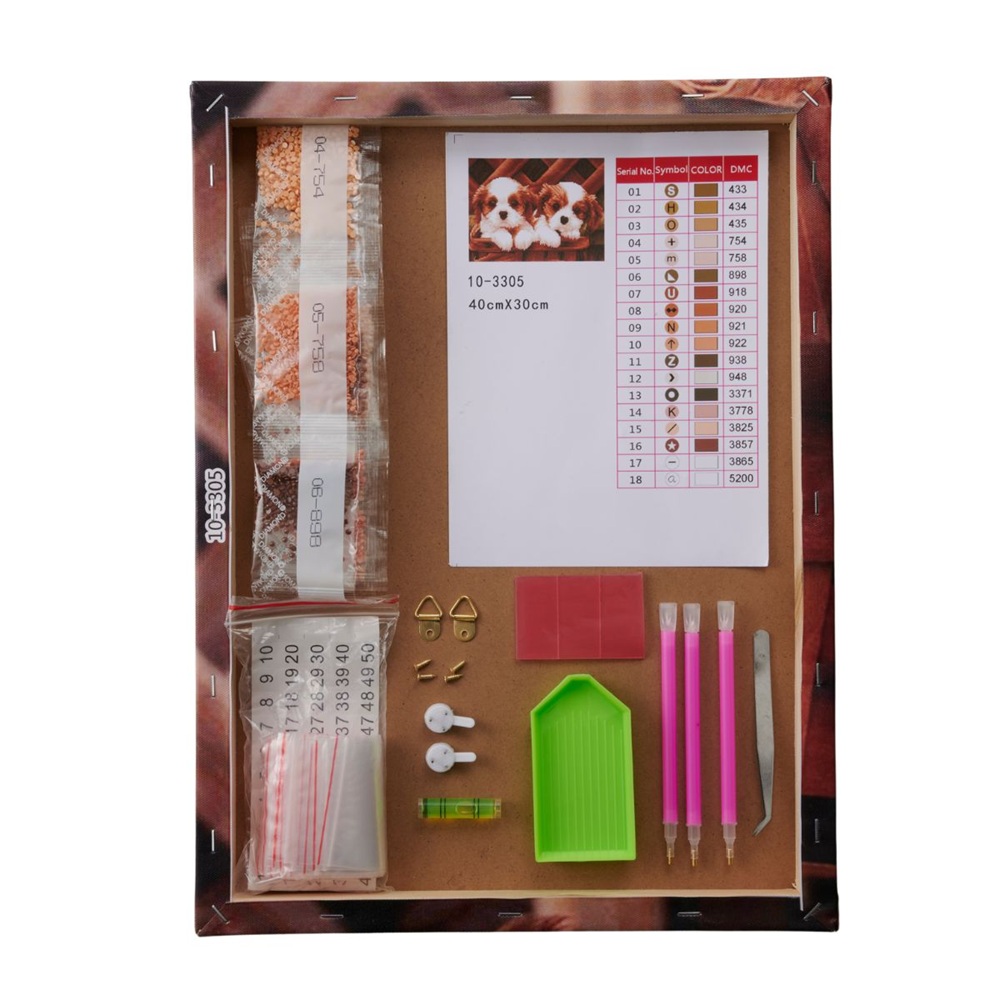 ダイヤモンドフィックス 子猫たち