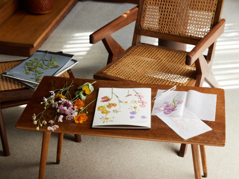 植物標本スターターキット ビギナー