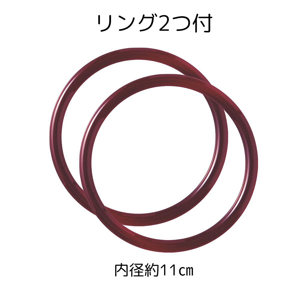 縫製済み刺し子の風呂敷 サボテン