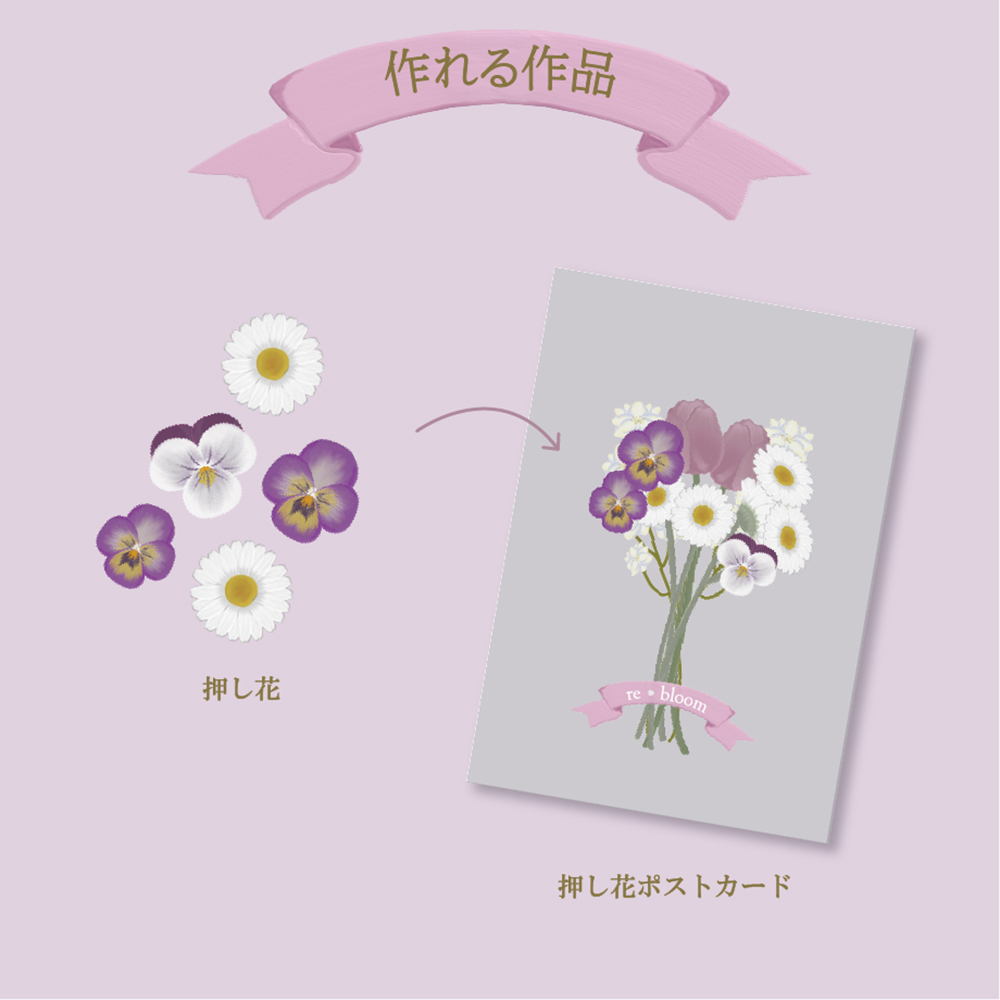 【予約受付中】押し花スターターキット