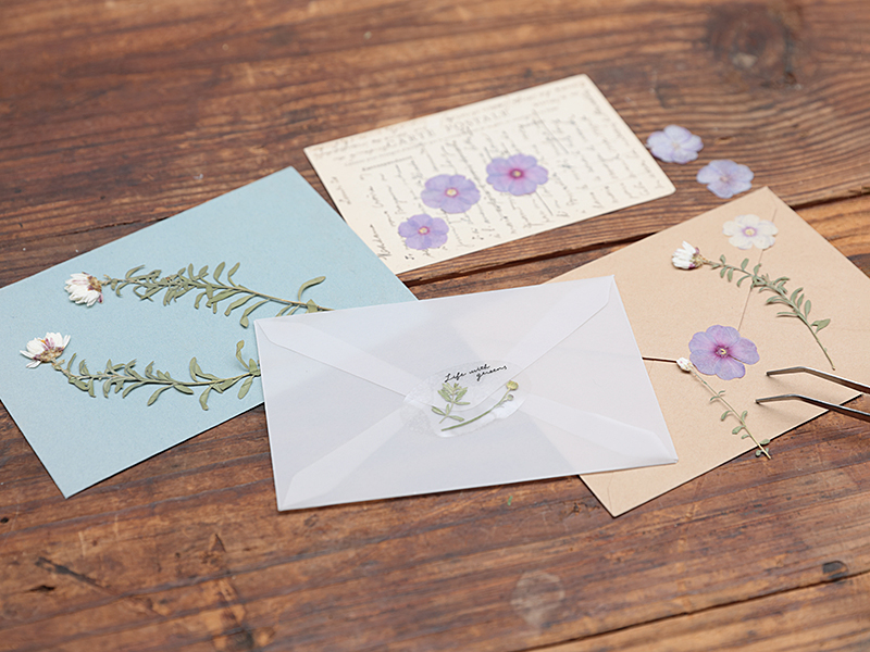 植物標本スターターキット ビギナー