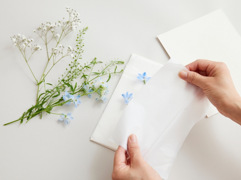 植物標本スターターキット ビギナー