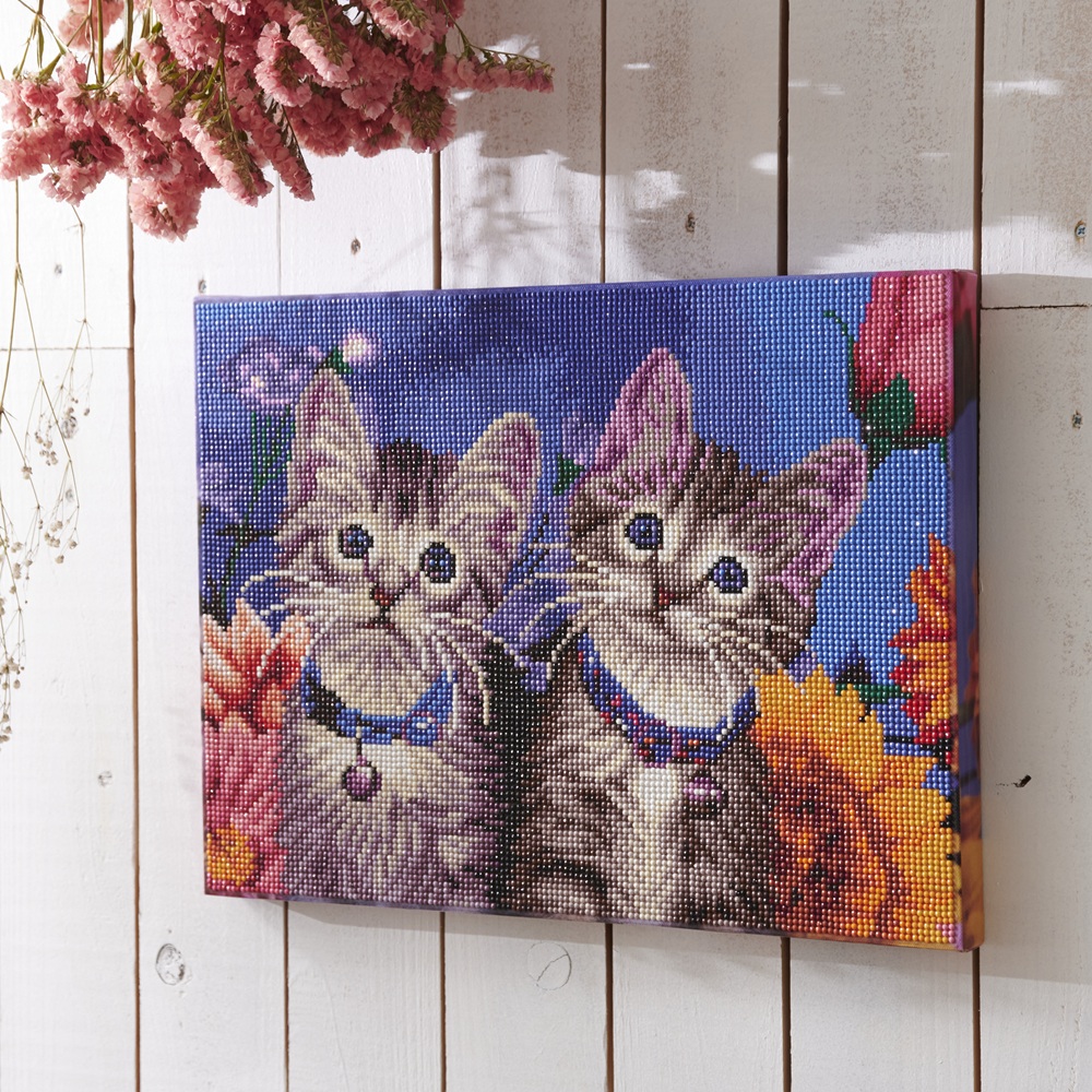 ダイヤモンドフィックス 子猫たち