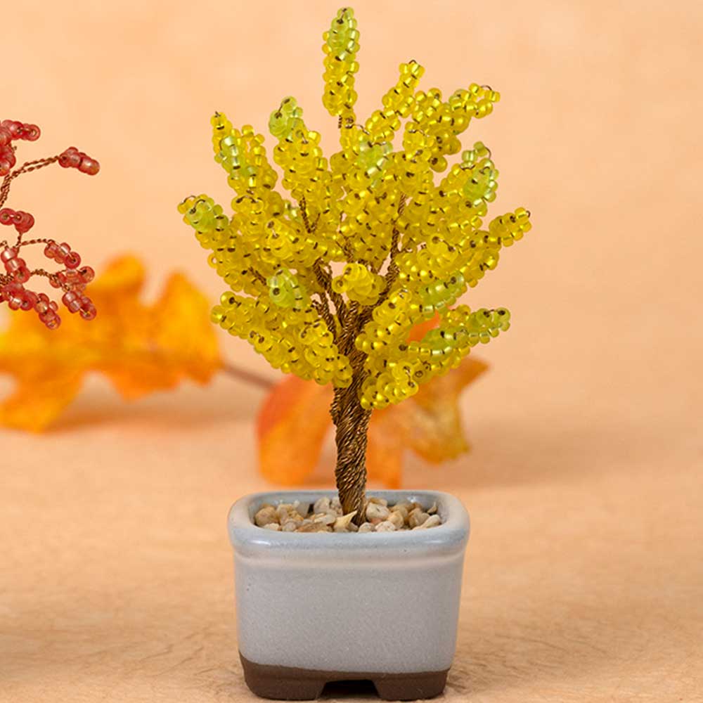 ネジッテBONSAI　［銀杏］