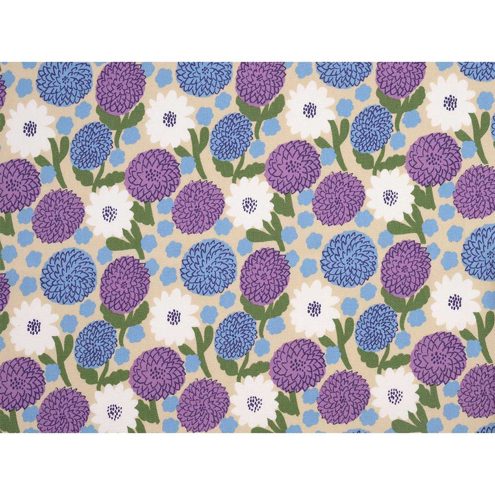 ダリア 50cm単位