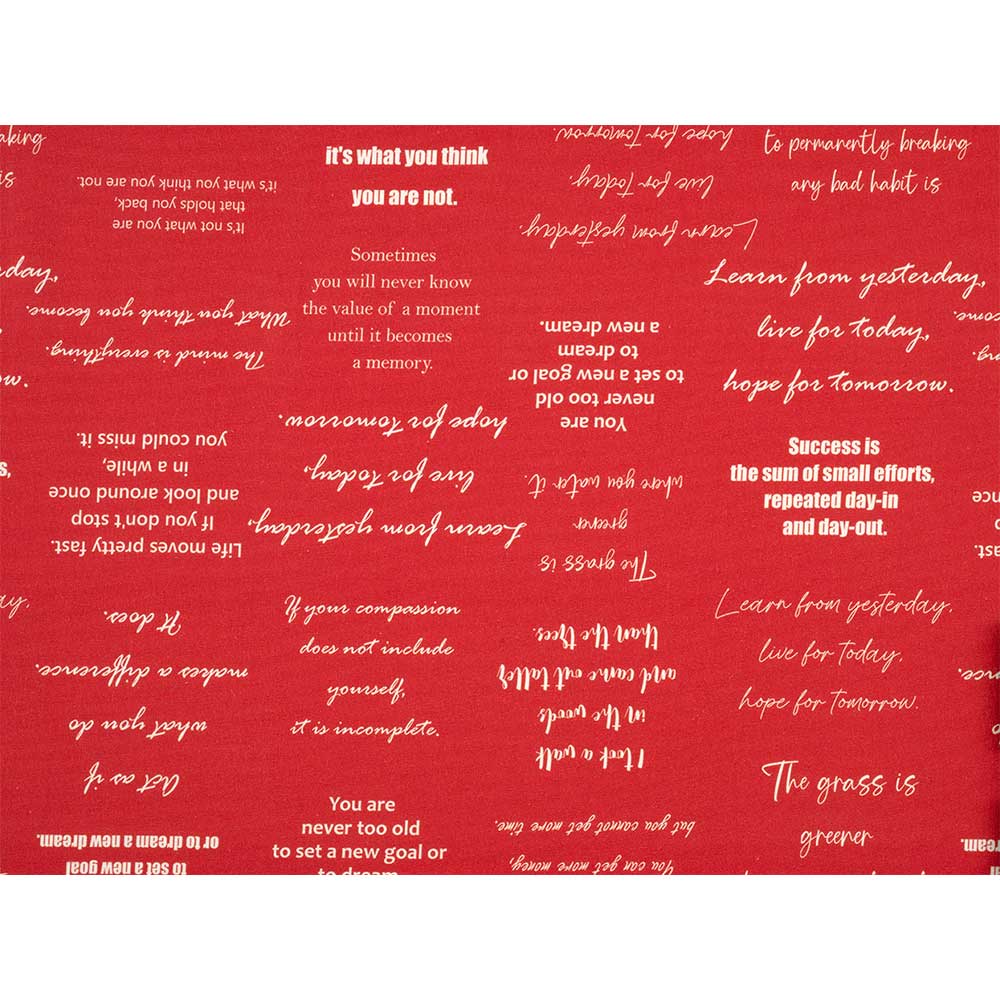 イングリッシュメッセージ50ｃｍ単位レッド