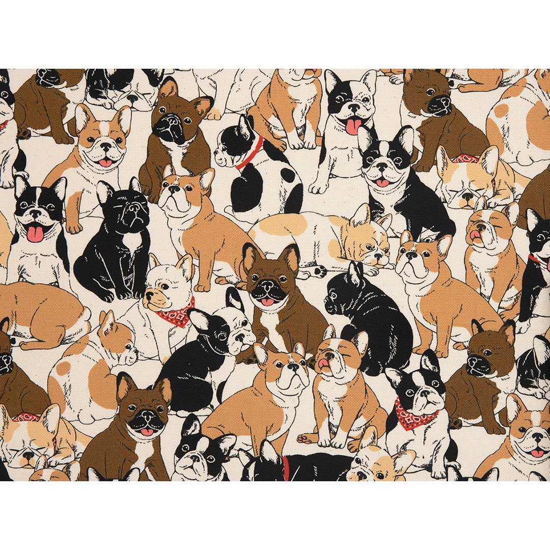 フレンチブルドッグ　50ｃｍ単位