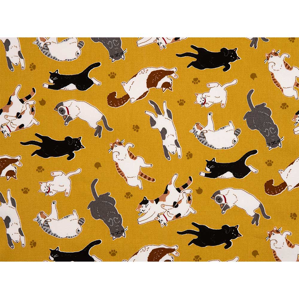 へそ天　50ｃｍ単位