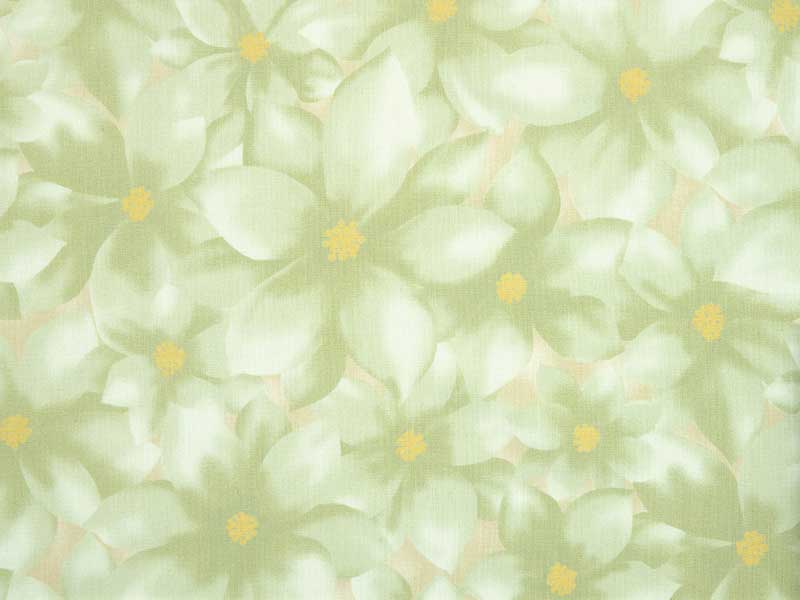 ポインセチア　50ｃｍ単位　グリーン