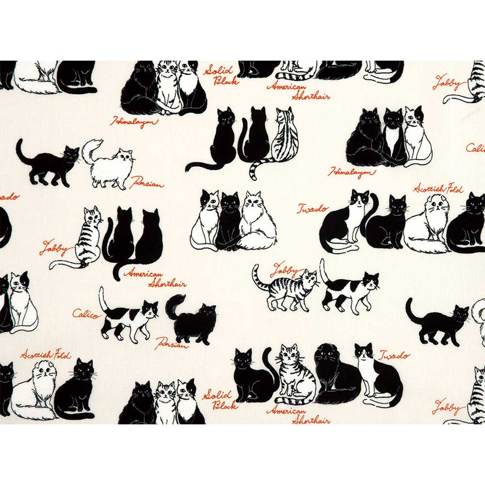 キャットフレンド　1ｍ単位