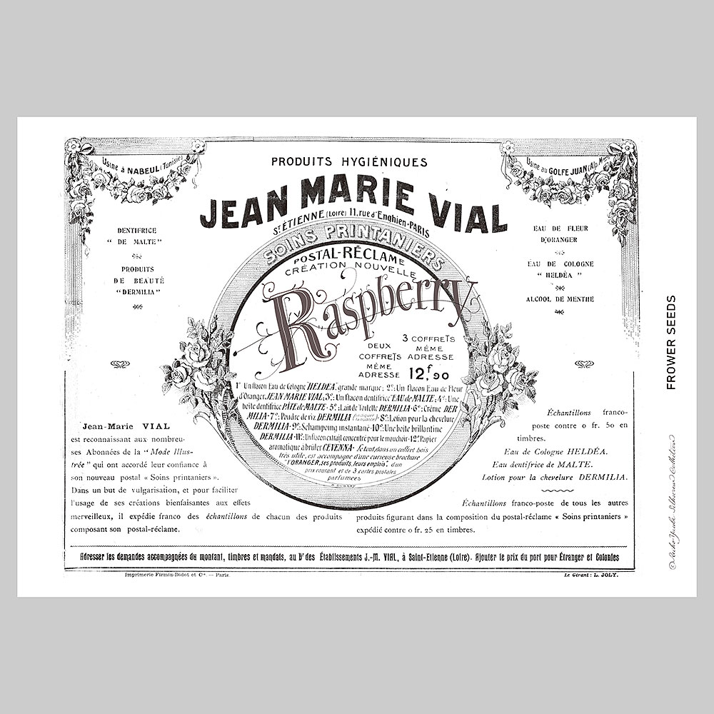 シルクスクリーン「Vintage Raspberry」