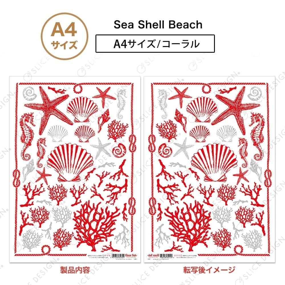 シーシェルビーチ （コーラル） A4