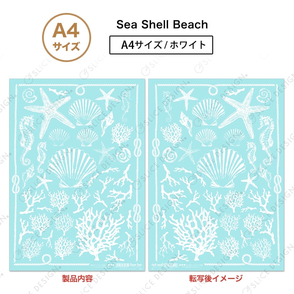 シーシェルビーチ（ホワイト） A4
