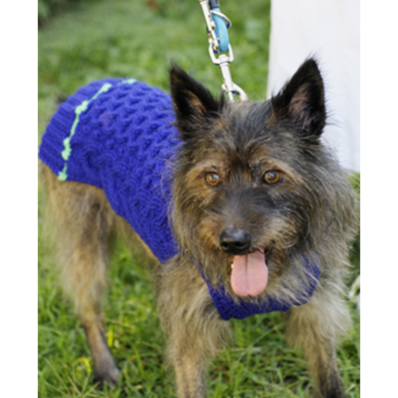 〈レシピ〉わんこのウエア