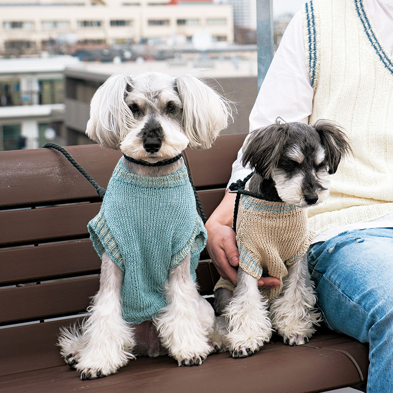 〈レシピ〉わんこのセーター