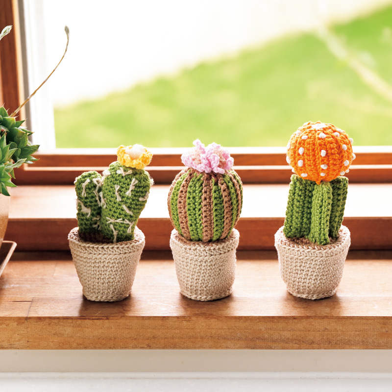 〈レシピ〉サボテンとパイナップル