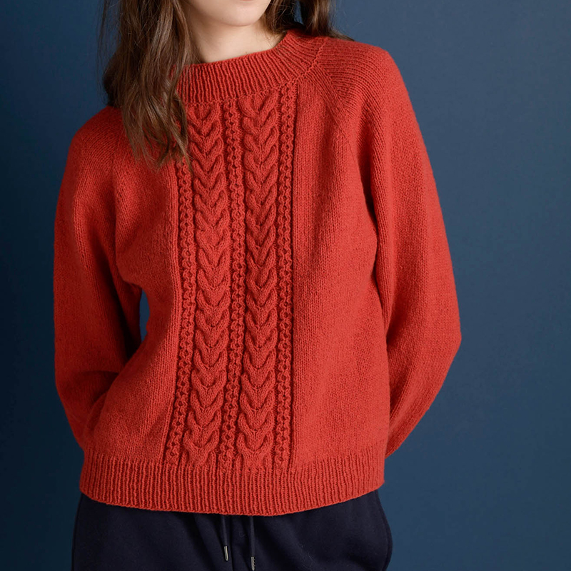 〈レシピ〉　トップダウンのアランプルオーバー