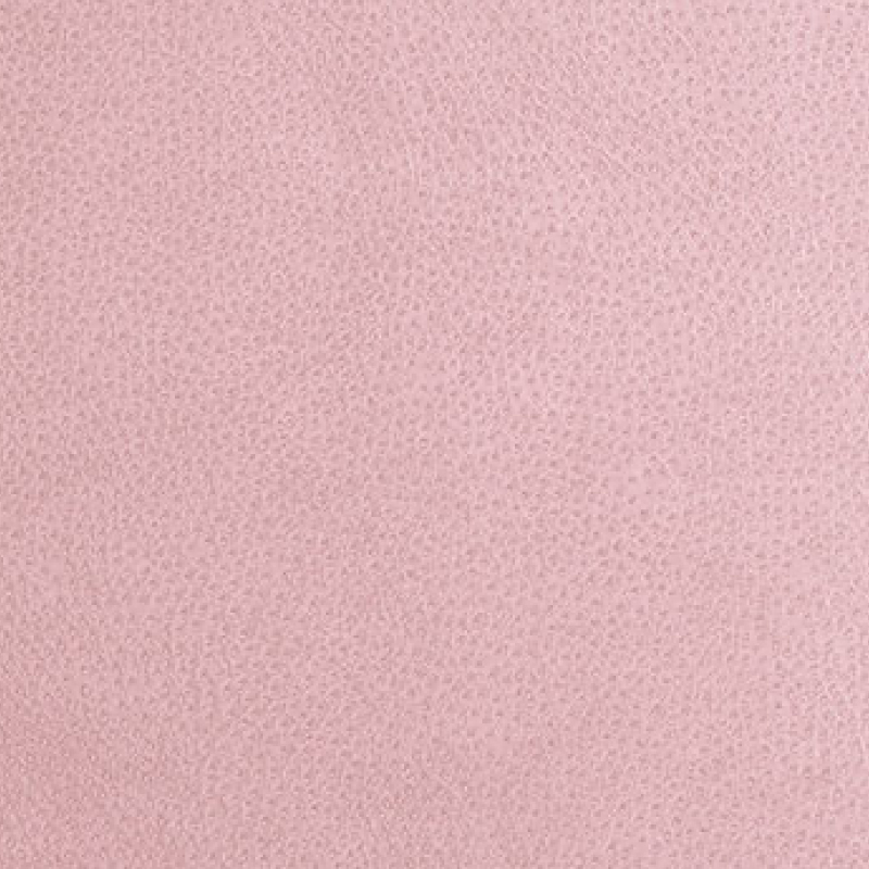 スキバルテックスニトロリン　ピンク