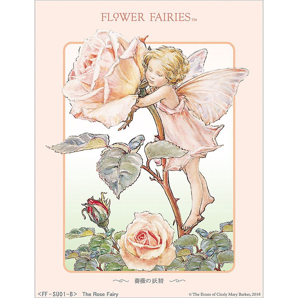 フラワーフェアリーズ　シャドーボックス　薔薇の妖精【溶剤なし】
