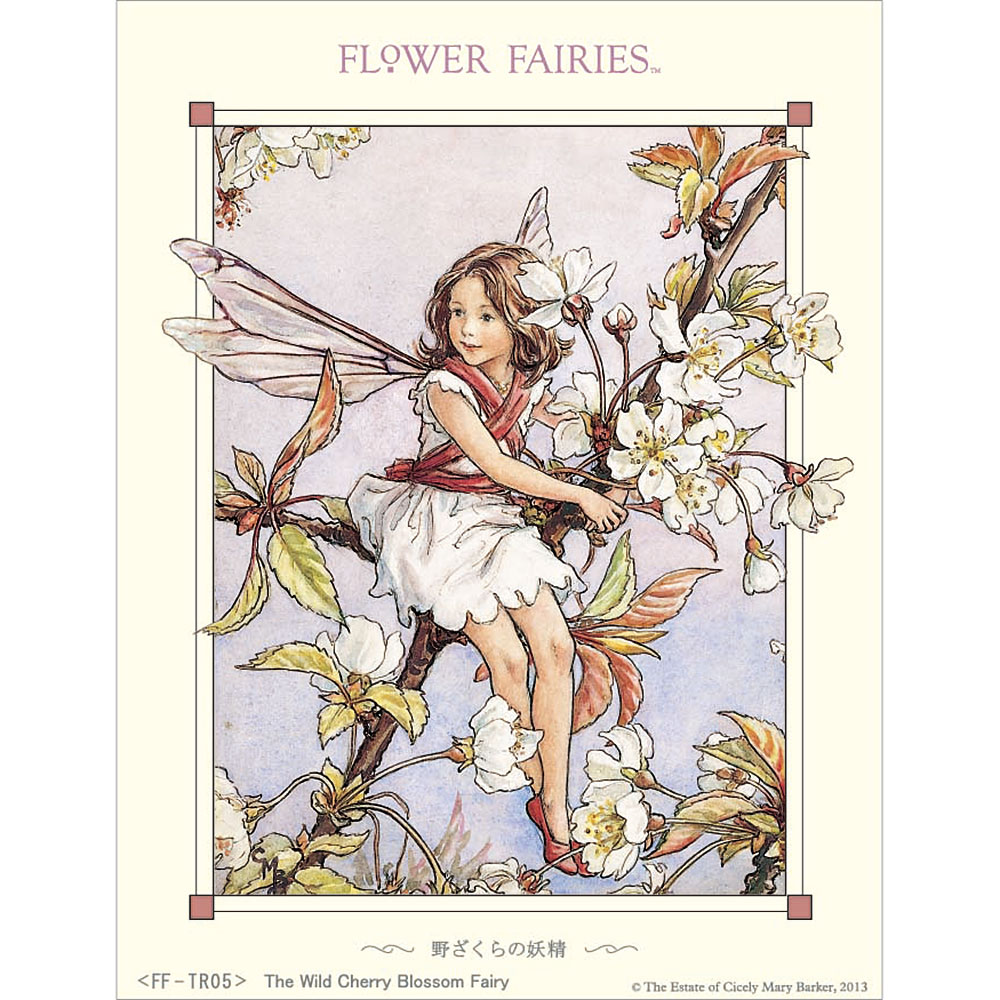 フラワーフェアリーズ　シャドーボックス　野ざくらの妖精