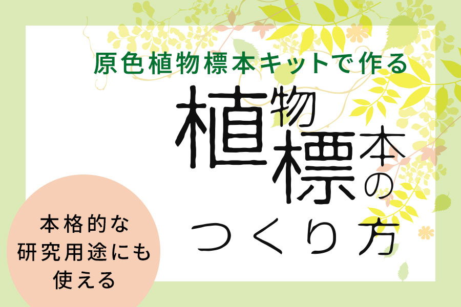 原色植物標本キットで作る植物標本ー本格的な研究用途にも使える