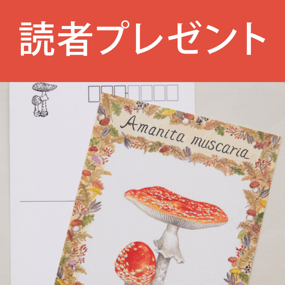 読者アンケート＆プレゼント