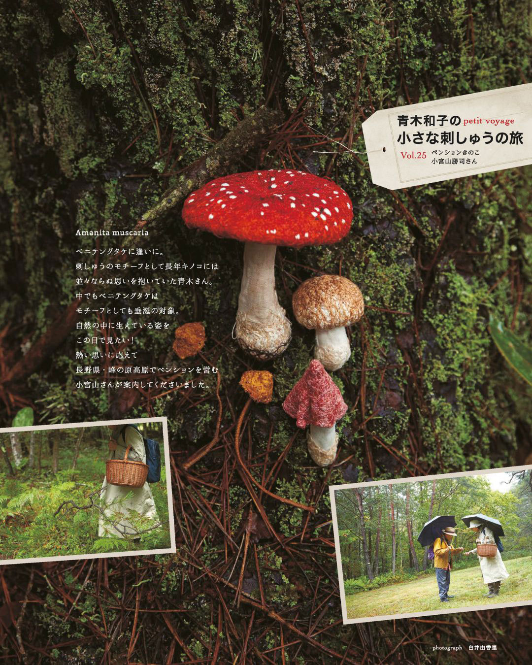 青木和子の小さな刺しゅうの旅