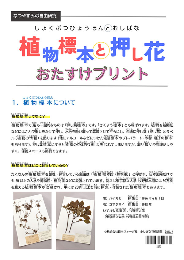 ［なつやすみの自由研究］植物標本と押し花 おたすけプリント