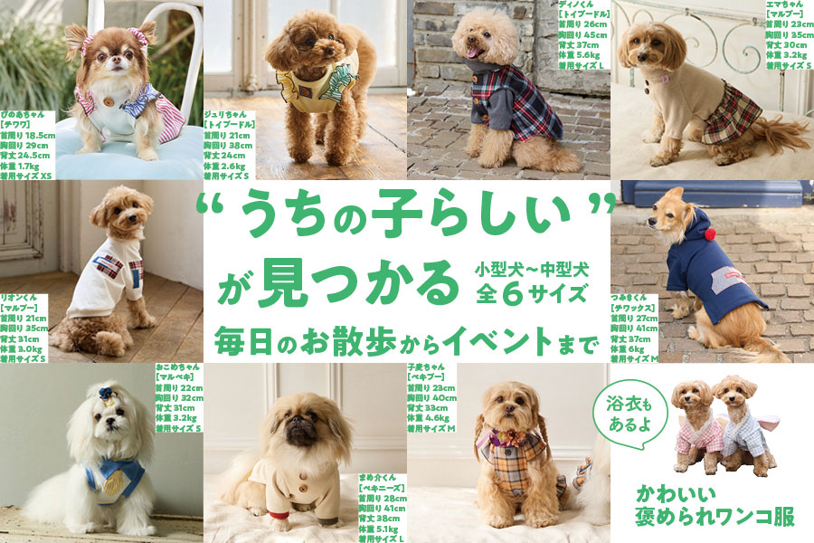 かわいい褒められワンコ服
