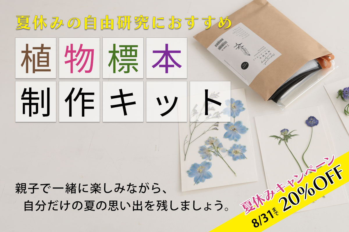 夏休みの自由研究におすすめ 植物標本制作キット