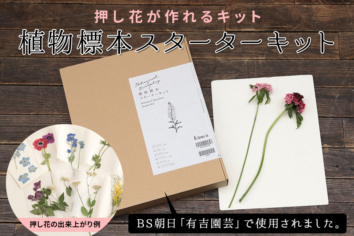 押し花が作れるキット「植物標本スターターキット」